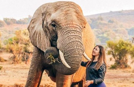 South-Africa---Wildlife-Sanctuary---main---1