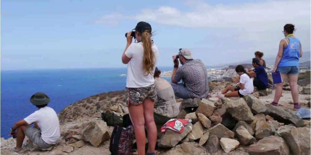 Spain - Canary Islands Dolphin and Whale Research25