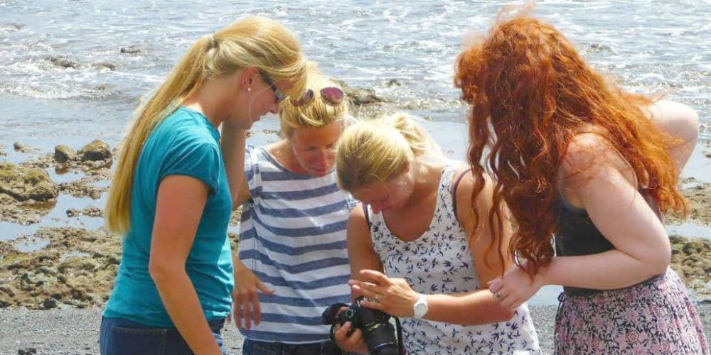 Spain - Canary Islands Dolphin and Whale Research7