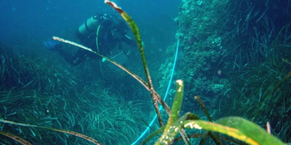 Spain - Coast and Marine Conservation in Denia13