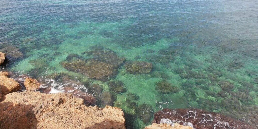 Spain - Coast and Marine Conservation in Denia48