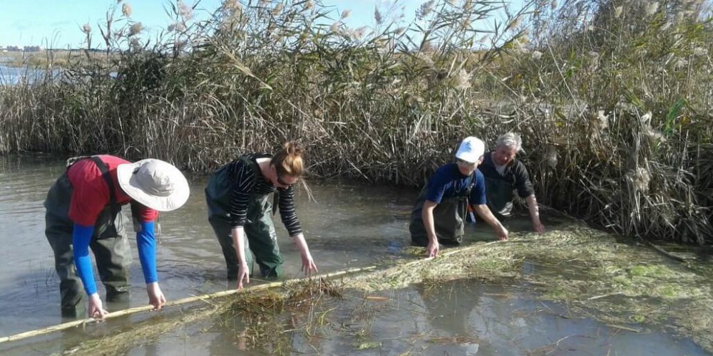 Spain - Conservation Projects in the Valencia Region12