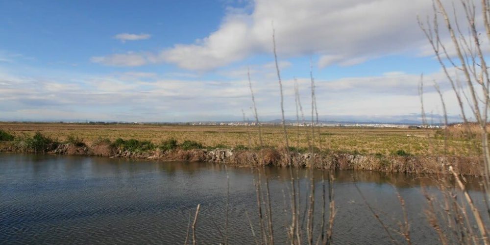 Spain - Conservation Projects in the Valencia Region21