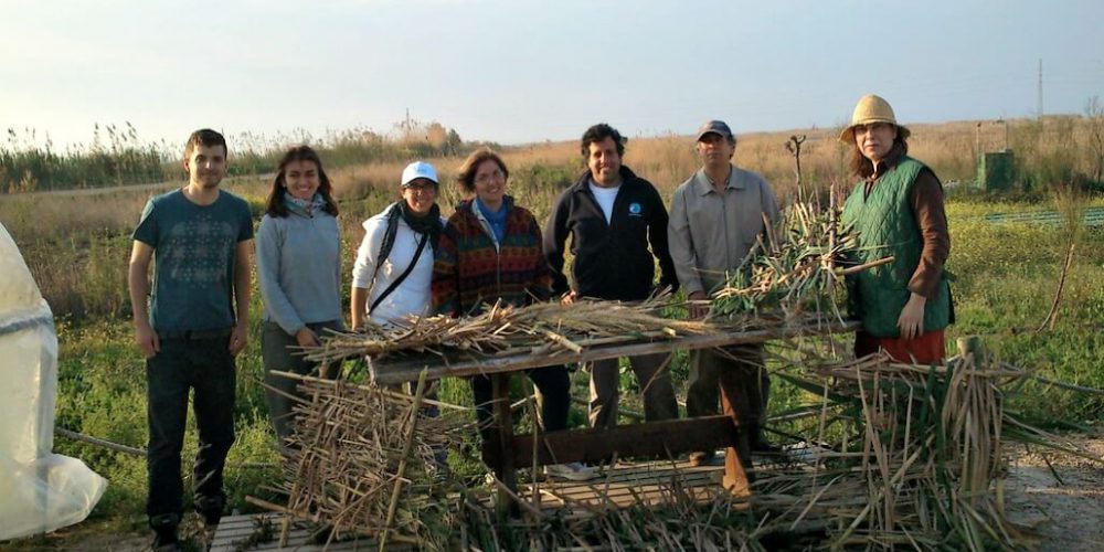 Spain - Conservation Projects in the Valencia Region27