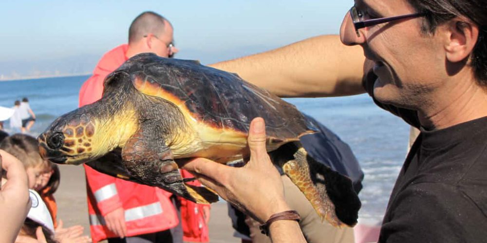 Spain - Conservation Projects in the Valencia Region4