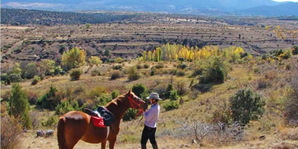 Spain - Wildlife Research and Ecological Farming4