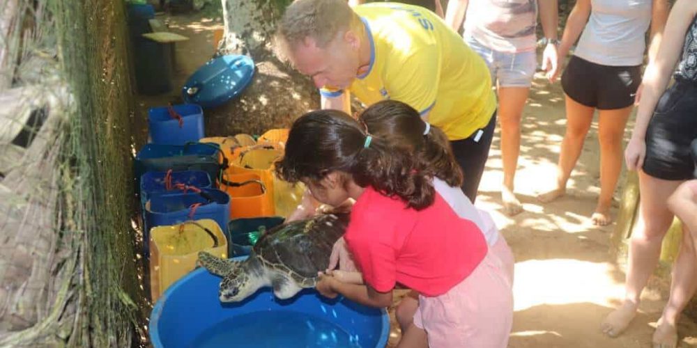 Sri Lanka - Family-Friendly Sea Turtle Rescue and Rehabilitation11