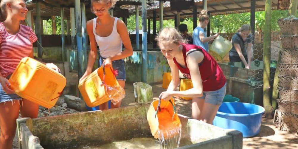 Sri Lanka - Family-Friendly Sea Turtle Rescue and Rehabilitation12