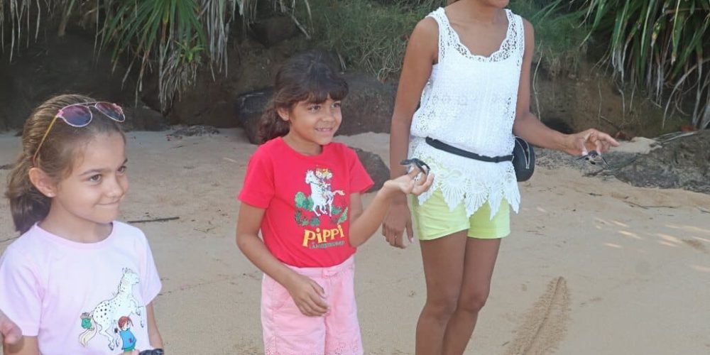 Sri Lanka - Family-Friendly Sea Turtle Rescue and Rehabilitation9