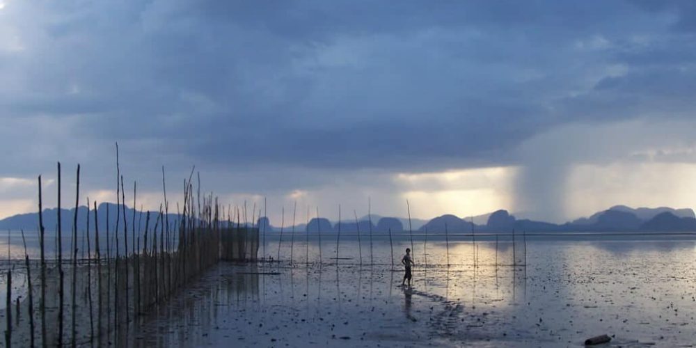 Thailand - Coastal Marine Conservation in Phang Nga17