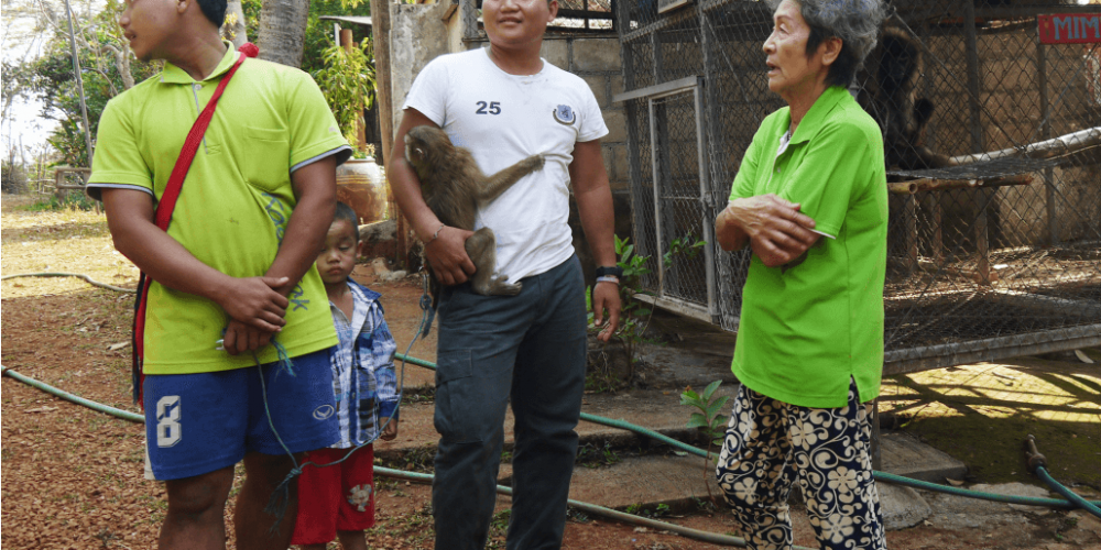 Thailand - Gibbon Primate Sanctuary6