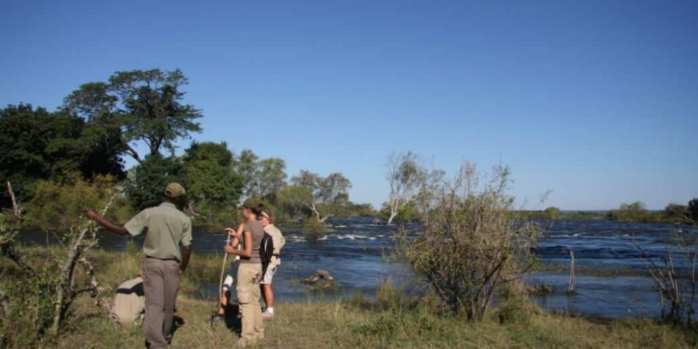 Zambia - Lion Rehabilitation and Conservation in Livingstone9