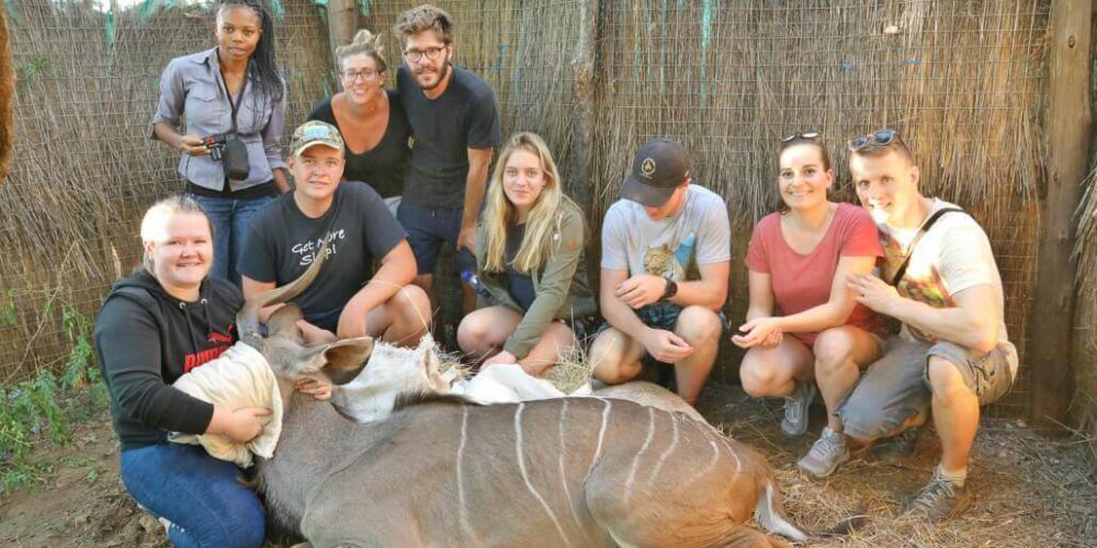 Zimbabwe - Family-Friendly African Wildlife Orphanage14
