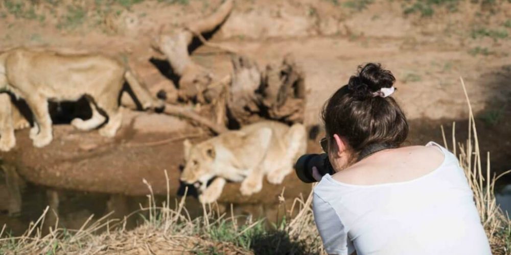 Zimbabwe - Lion Conservation in Victoria Falls4