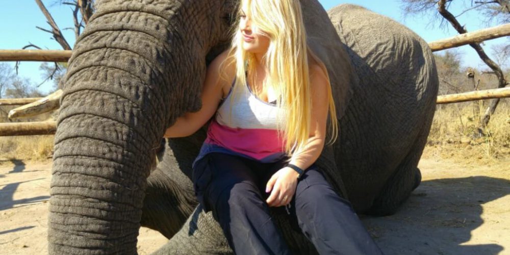 Zimbabwe - Lion Rehabilitation in Antelope Park10