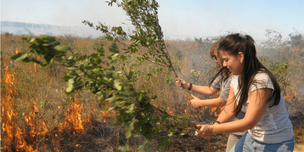 Zimbabwe - Lion Rehabilitation in Antelope Park2