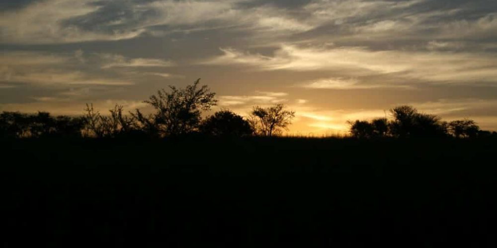 Zimbabwe - Lion Rehabilitation in Antelope Park8