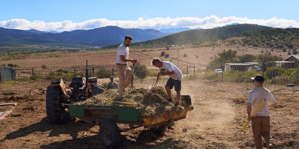 african-wildlife-conservation-private-reserve-14