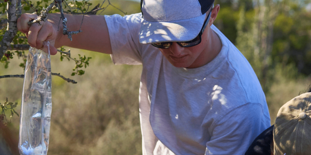 african-wildlife-conservation-private-reserve-16