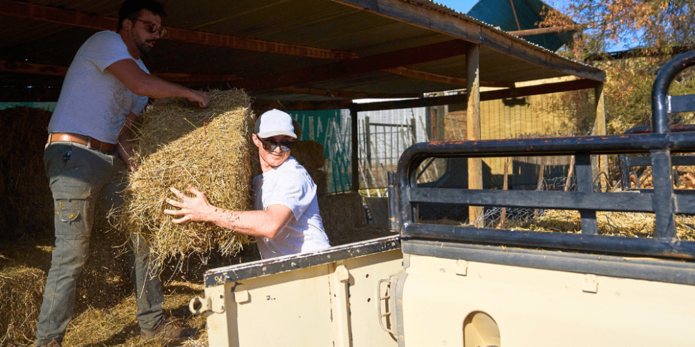 african-wildlife-conservation-private-reserve-17