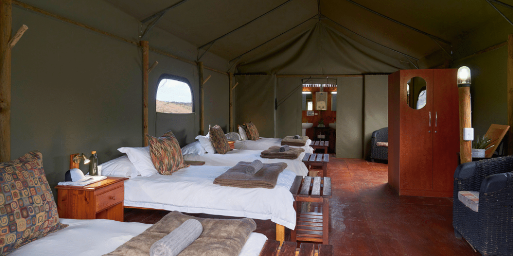 african-wildlife-conservation-private-reserve-23