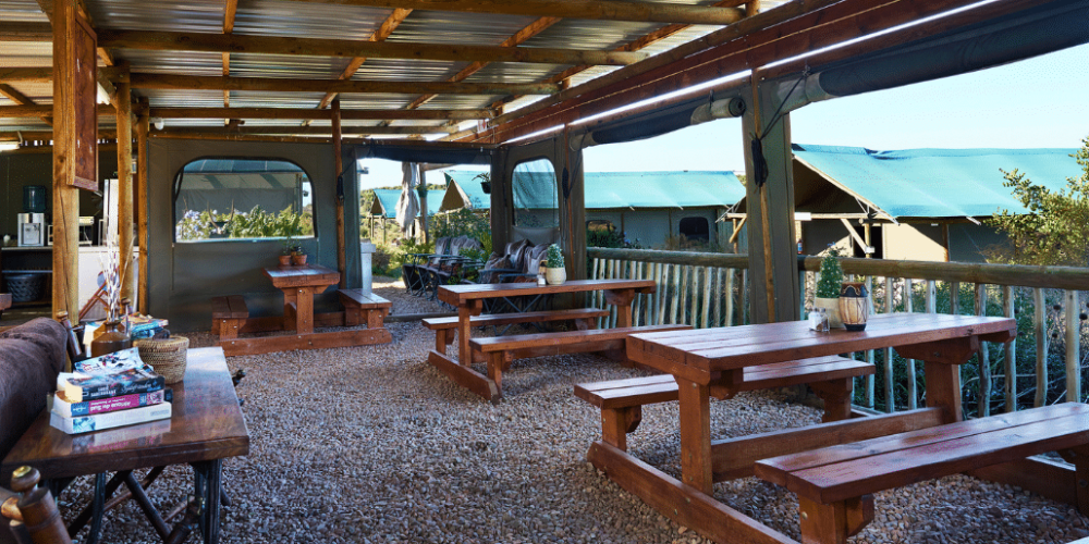 african-wildlife-conservation-private-reserve-26