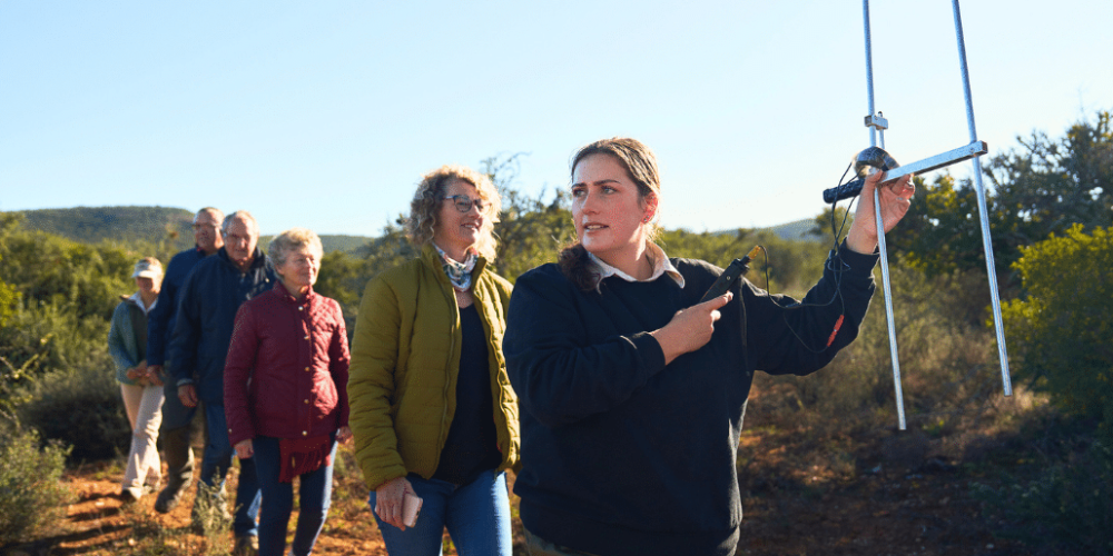 african-wildlife-conservation-private-reserve-29