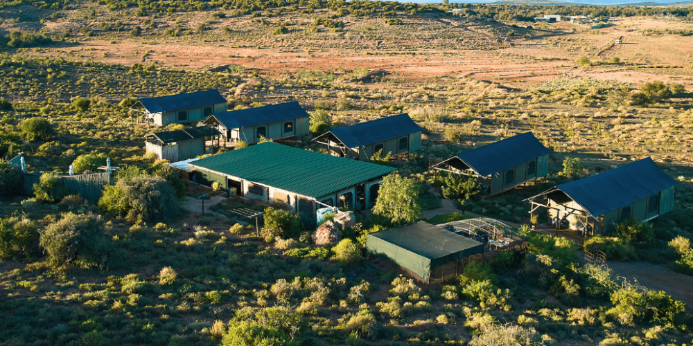 african-wildlife-conservation-private-reserve-31