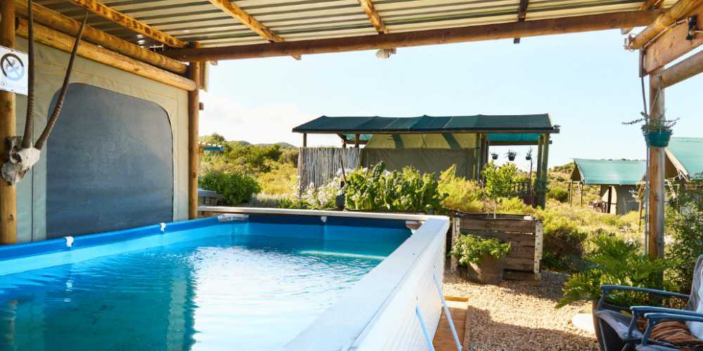 african-wildlife-conservation-private-reserve-35