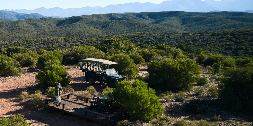 african-wildlife-conservation-private-reserve-36