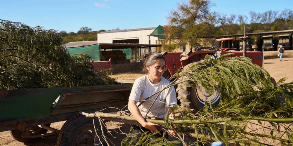 african-wildlife-conservation-private-reserve-43