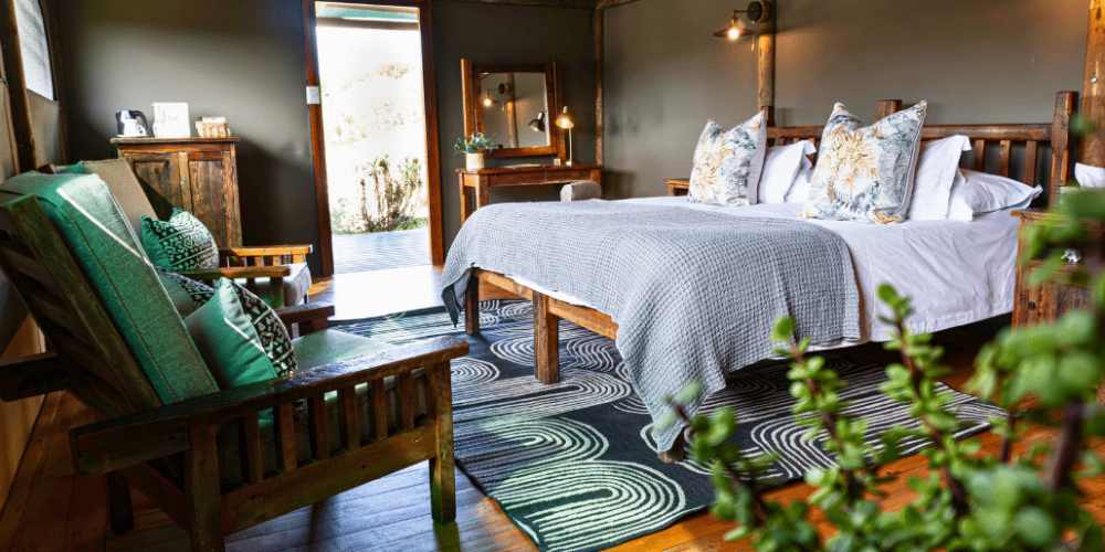 african-wildlife-conservation-private-reserve-44