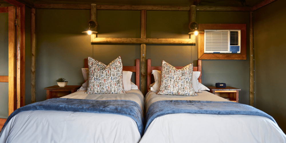 african-wildlife-conservation-private-reserve-45