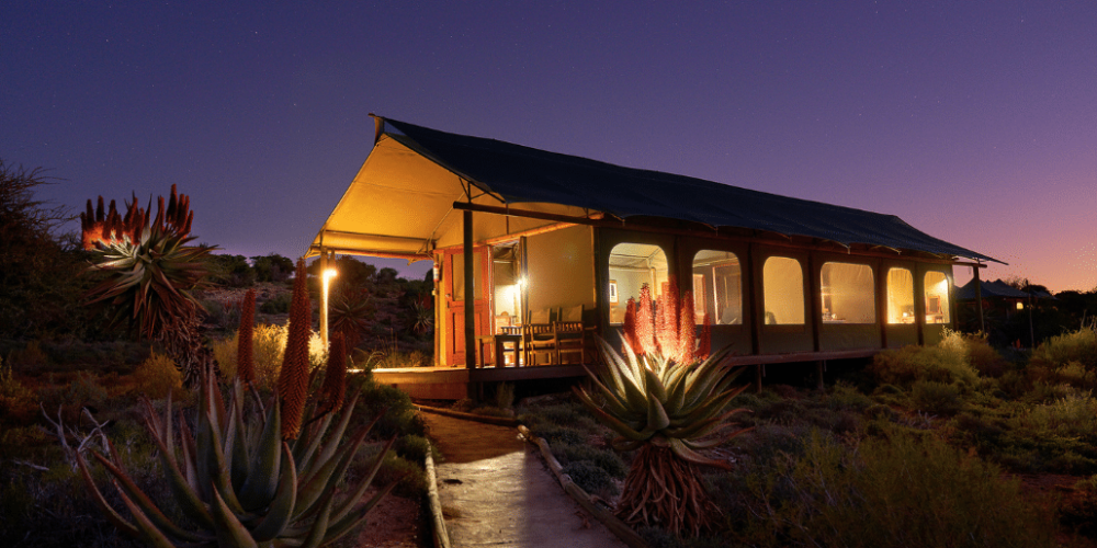 african-wildlife-conservation-private-reserve-53