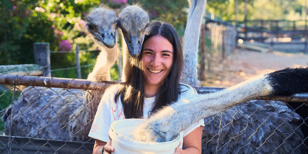 african-wildlife-conservation-private-reserve-9