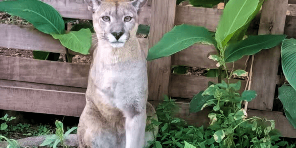 argentina-culture-community-service-eco-adventure-for -teenagers-28