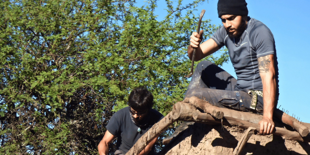 argentina-family-friendly-puma-wildlife-conservation-24