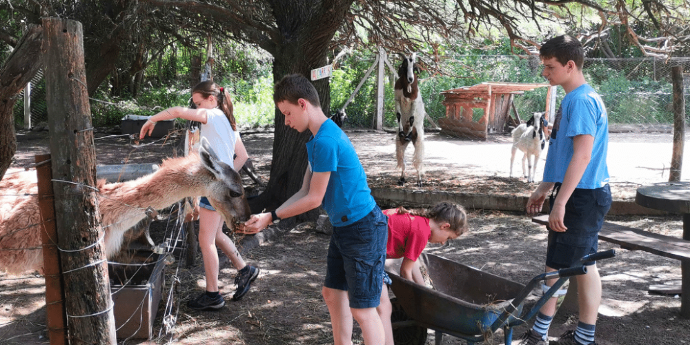 argentina-family-friendly-puma-wildlife-conservation-69