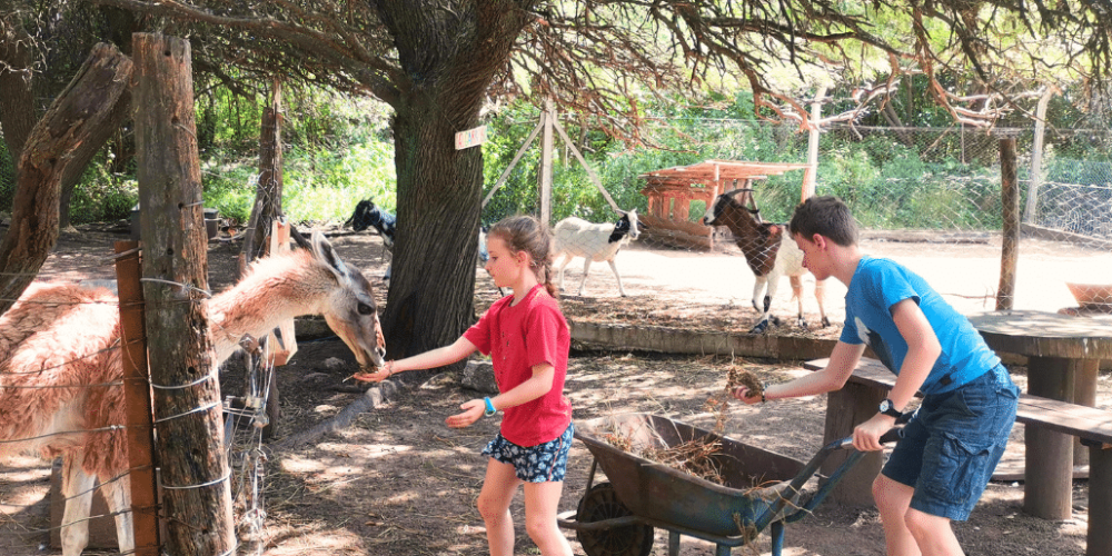 argentina-family-friendly-puma-wildlife-conservation-77