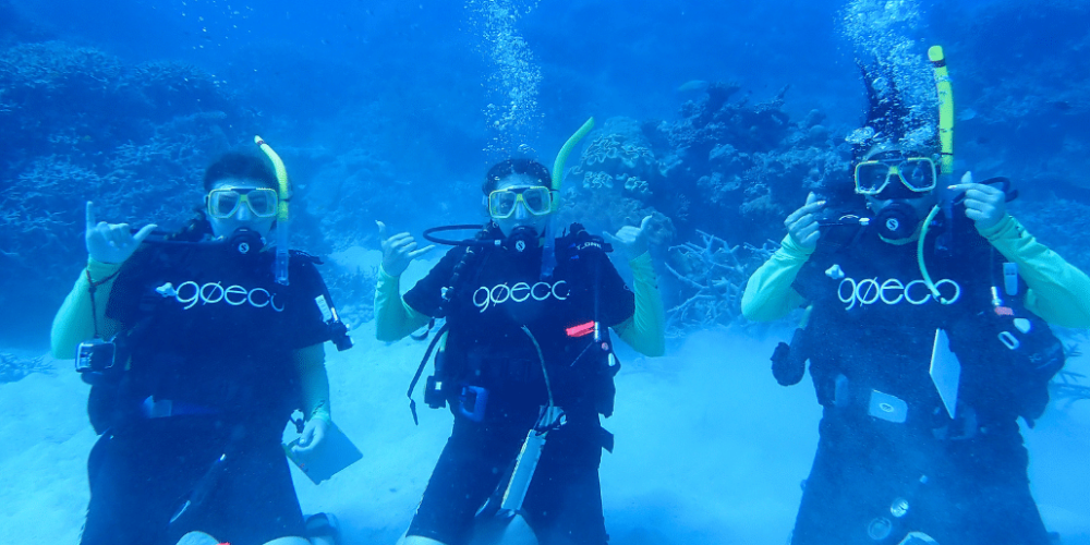 australia-great-barrier-reef-conservation-1