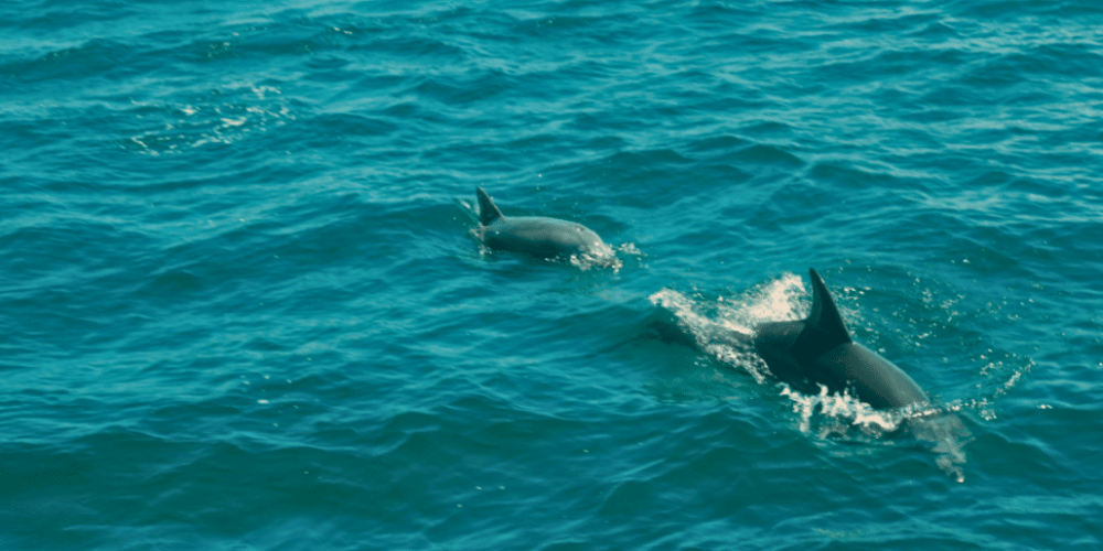 australia-welcome-to sydney-tour-&-culture-week-23