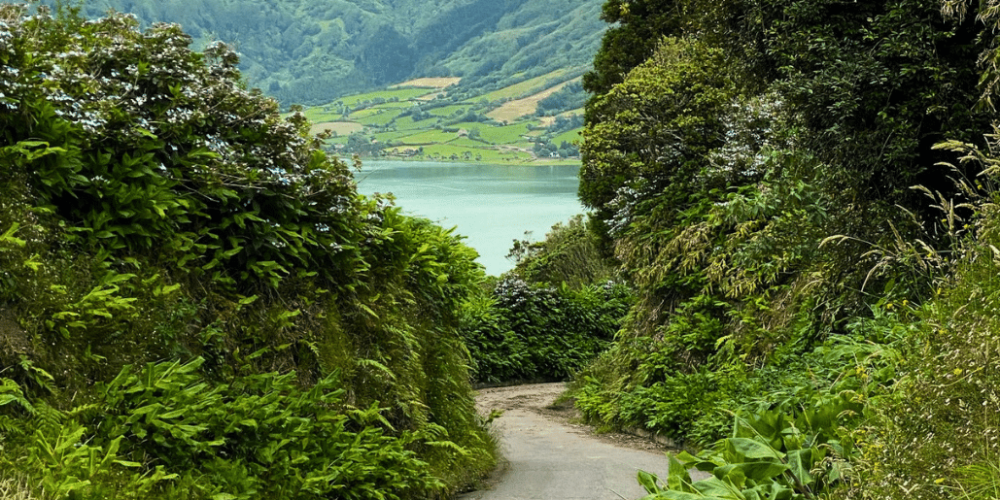 azores-social-impact-eco-adventure-for-teenagers-9