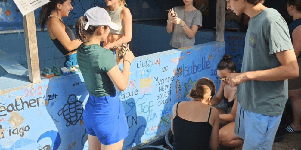 bali-community-and-sea-turtle-for-teenagers-2025-16