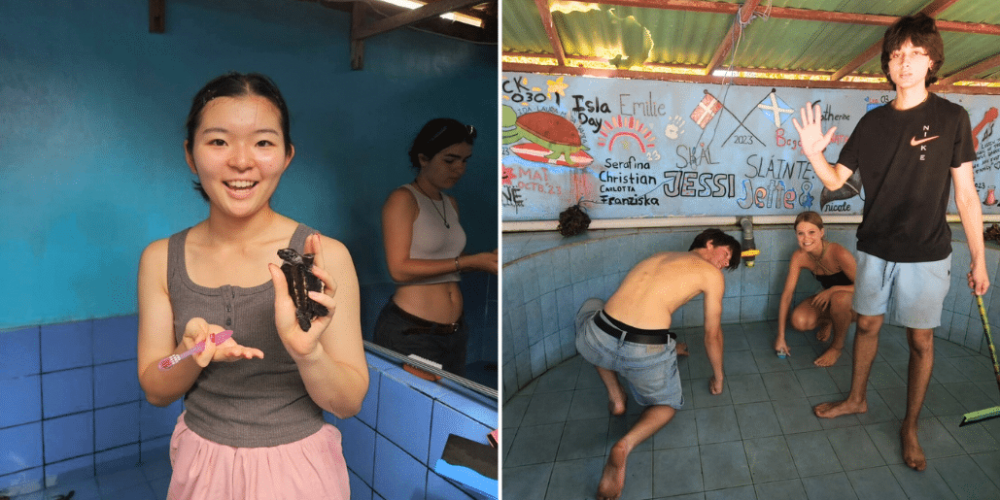 bali-community-and-sea-turtle-for-teenagers-2025-22