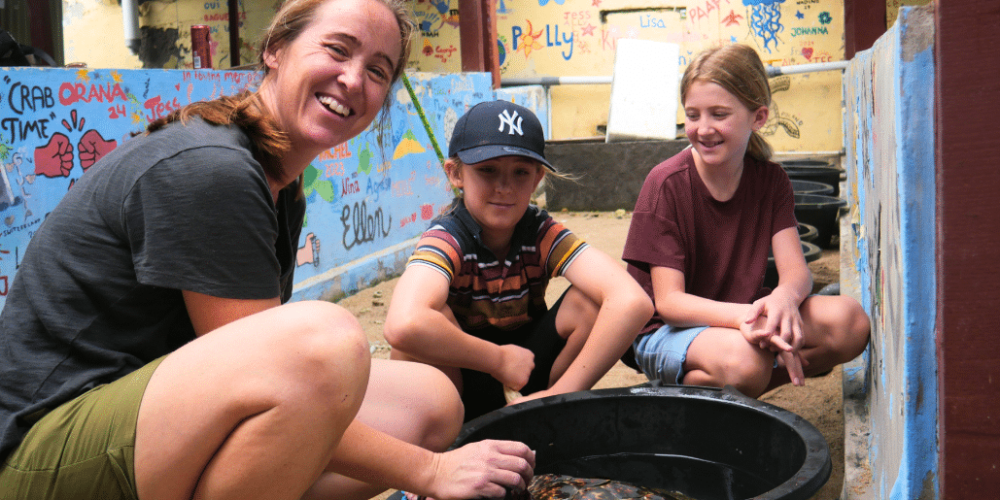 bali-family-friendly-sea-turtle-rescue_upd_1