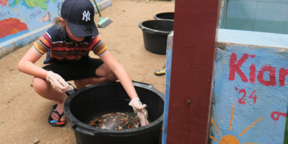 bali-family-friendly-sea-turtle-rescue_upd_3