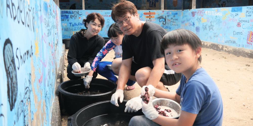 bali-family-friendly-sea-turtle-rescue_upd_4