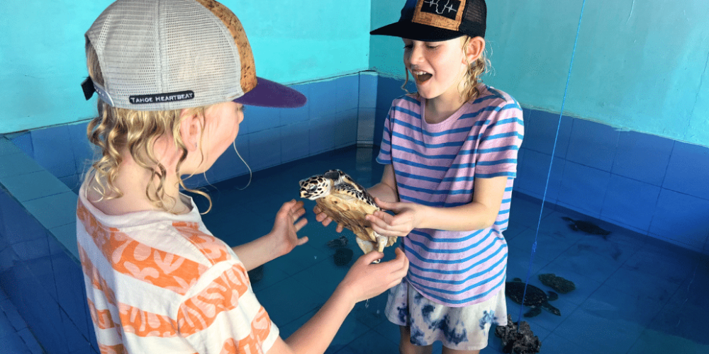 bali-family-friendly-sea-turtle-rescue_upd_8