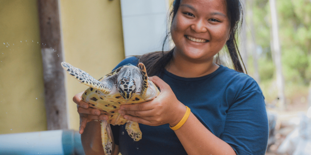 bali-sea-turtle-community-for-teenagers2