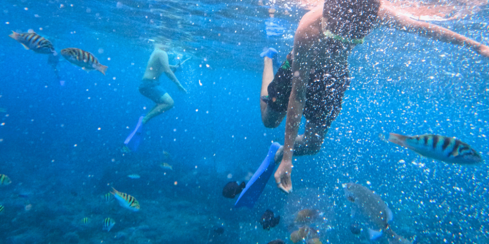 bali-sea-turtle-community-program-for-teenagers-new-2025-13